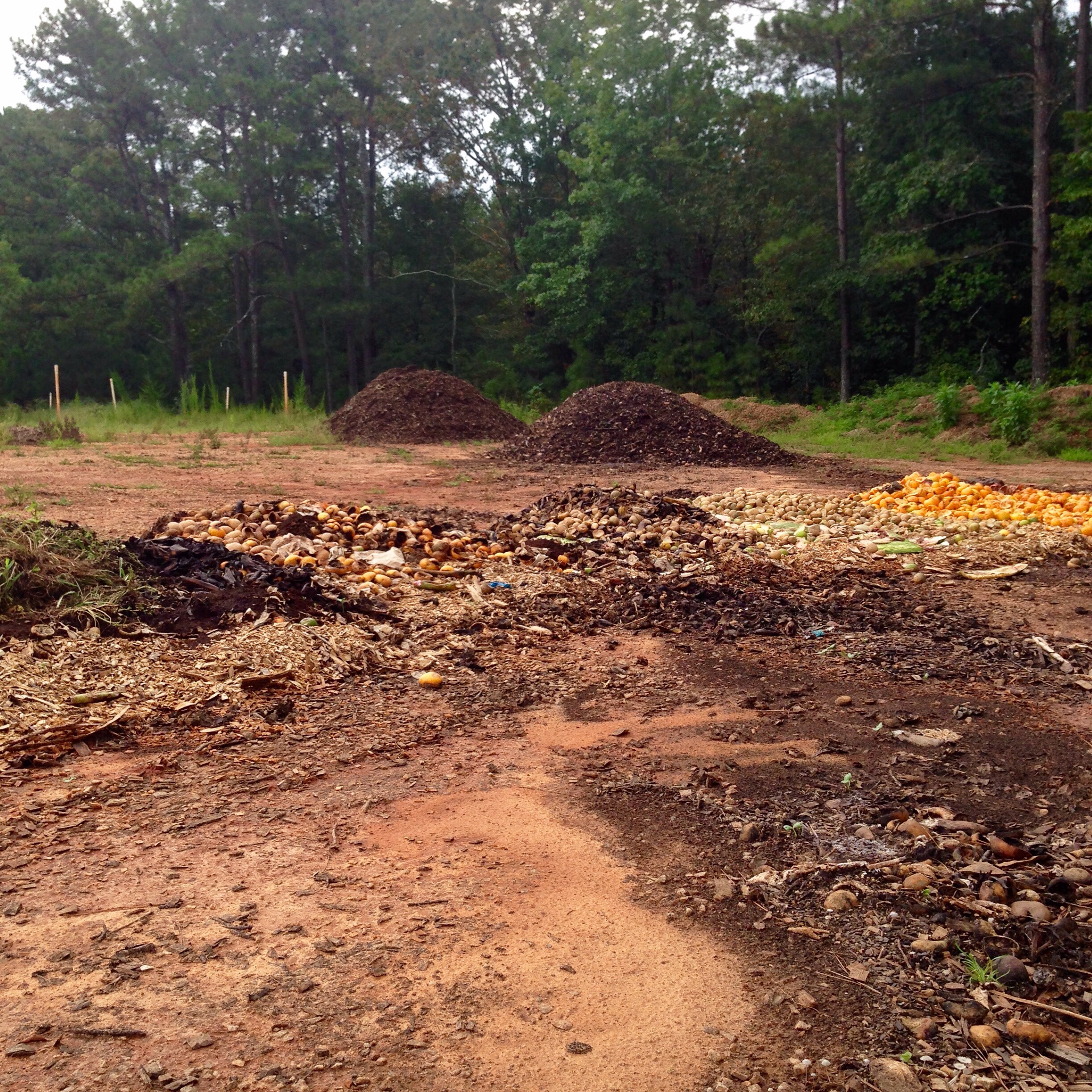 king of crops composting