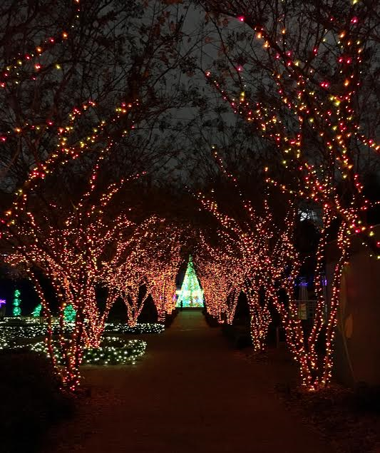 Atlanta Botanical Garden Christmas 2024 Ethyl Laraine