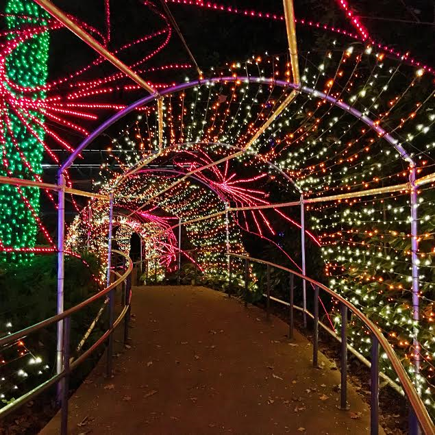 Atlanta Botanical Garden | Christmas Lights in Atlanta