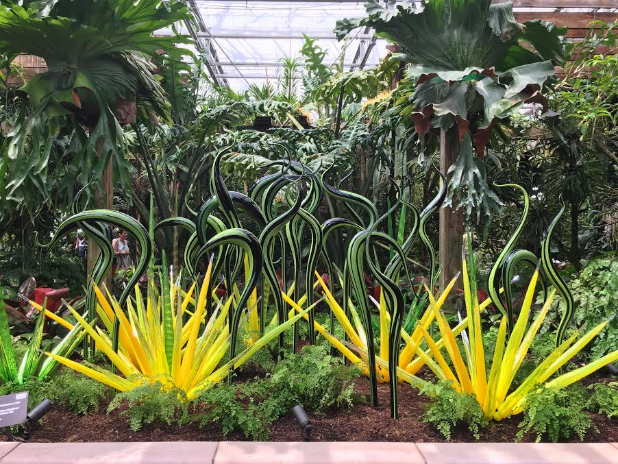 chihuly in the garden greenhouse