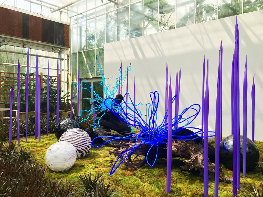 chihuly in the garden neon