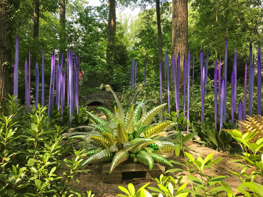 chihuly in the garden purple and hornets