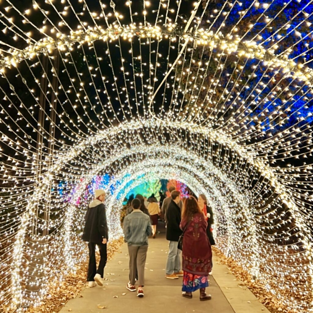 Garden Lights Holiday Nights at Atlanta Botanical Garden | ATL Bucket List