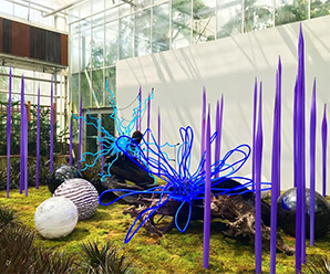 Chihuly in the Garden at the Atlanta Botanical Garden